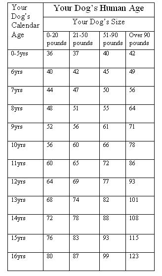 Converting Dog Years To Human Years Chart