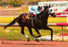 From Birth to Victory, The Saga of a Santa Ynez Valley Racehorse