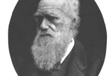 Evolution Interruptus