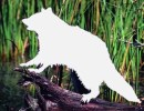 The Ghost of Wild Parties Past