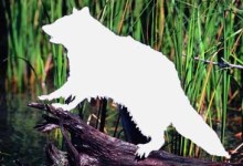 The Ghost of Wild Parties Past