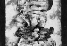 Meditations in Silver: Photographic Studies by Paul Caponigro. 