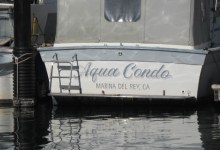 Ship Shape: And Very Strange