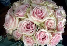 Language of Love