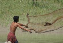 Calcutta’s Villages and Chennai’s Slums