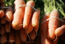 Why You Should Eat Fruits and Vegetables from S.B.’s Soil