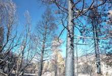 Will The Backcountry Trails Be Opened Soon?