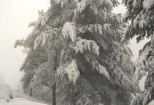 A White January