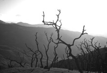 Charges Dropped Against Men Who Started Zaca Fire