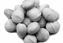 Growing Macadamias in S.B.