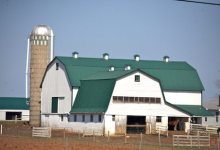 On the Road – My Old Kentucky Home