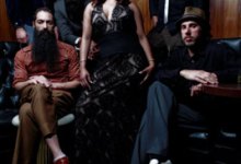 Dengue Fever in Two Languages