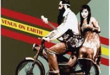 Dengue Fever