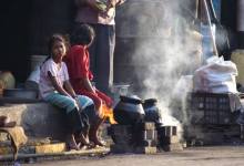 Can Vitamins Save the World?