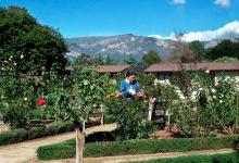 Retirement Home Says It’s Easy Being Green