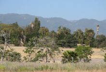 What Is Best for Bishop Ranch?