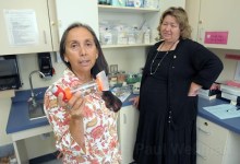 School Health Offices Could Close Early Next Year