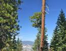 Reyes Peak Hike