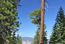 Reyes Peak Hike