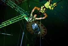 Circus circus