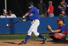 Homers at Home and in Havana