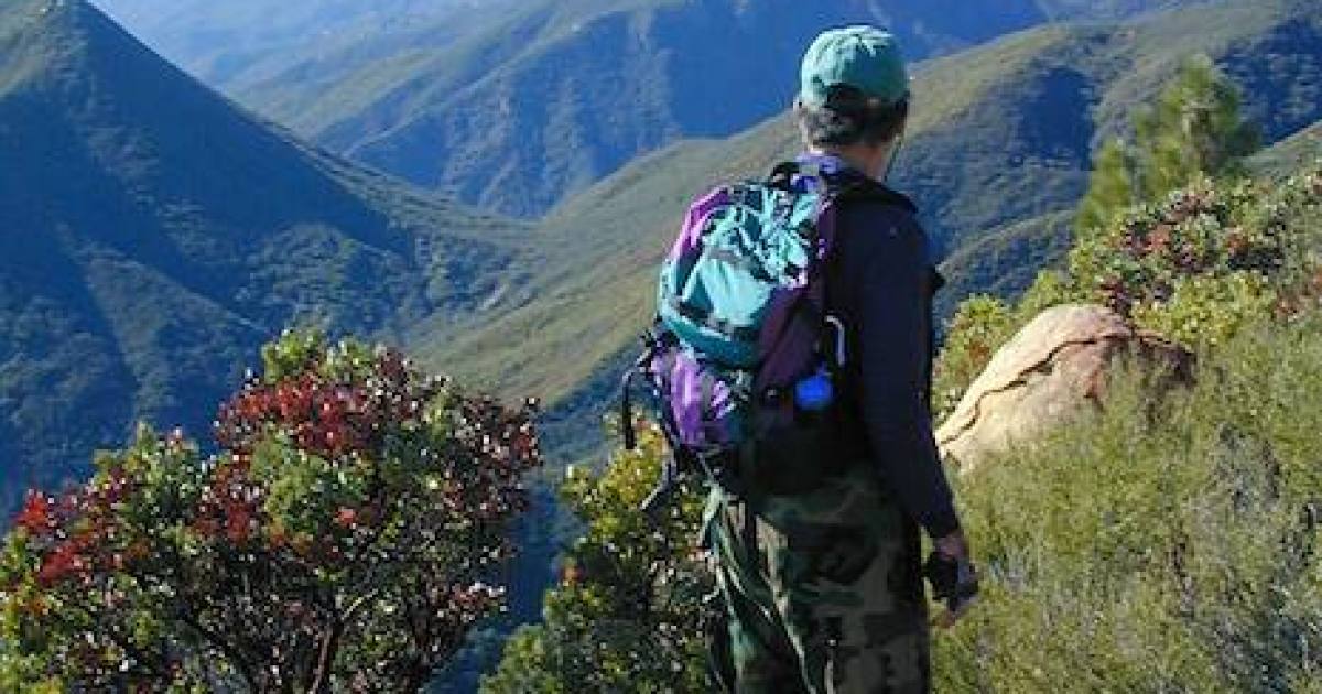 Living in Chaparral Country The Santa Barbara Independent