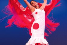 2008 Summer Dance Guide