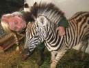 Capturing Wild Animals, Teaching Your Peers
