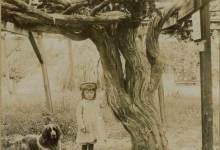 ‘With July 4th just past, I was wondering how Santa Barbara celebrated the centennial in 1876.’