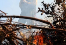 Hope Springs Again at Sunday Night’s Gap Fire Briefing