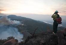 Firefighter Profiles