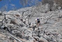 First Look at the Gap Fire’s Aftermath