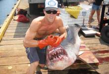 They Had Tuna, Sea Bass, Salmon, and: Shark Tacos?