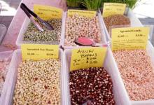 Naturally Increase the Fertility of Your Garden
