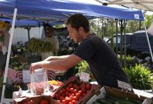 Starting Your Cool Season Garden