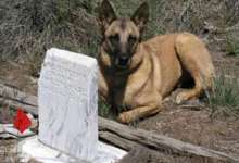 Doggie Detectives Look for the Long Dead