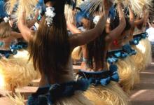 Five Reasons to Check Out That DaM Festival