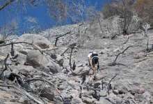 Officials Survey Fire Damage, Plan for Risks