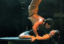 Birdhouse Factory, presented by Cirque-Works