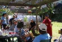 How Does Your Gardener Grow?