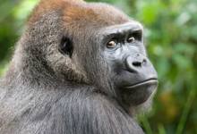 Prisons or Sanctuaries?