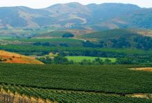Why Climate Change Could Wither Santa Barbara Agriculture