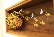 Joe Shea’s American Folk in Santa Barbara