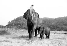 Telluride Mountainfilm Fest Comes to Santa Barbara