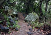 A Light Rain Makes for a Perfect Hike