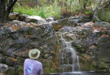 Cold Springs Trail-East Fork