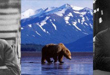 This Week in History