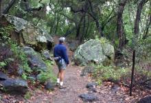 Cold Springs-West Fork