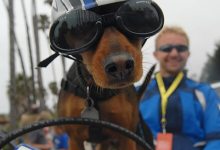 Highbrow to Get-Down