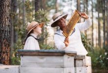The Secret Life of Bees
